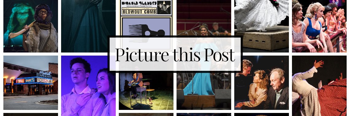 Picture This Post banner