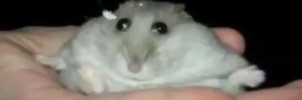 M0nsterFuckerx Profile Banner