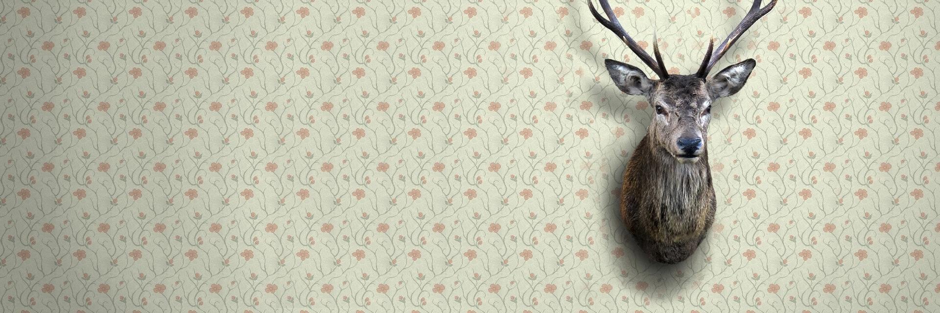 ev_ron's profile banner image