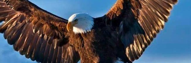 Merawi Aragaw, MD,MPH banner