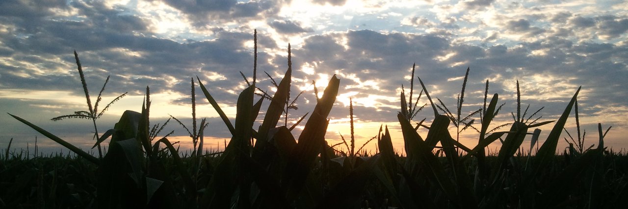KylePCline's profile banner image
