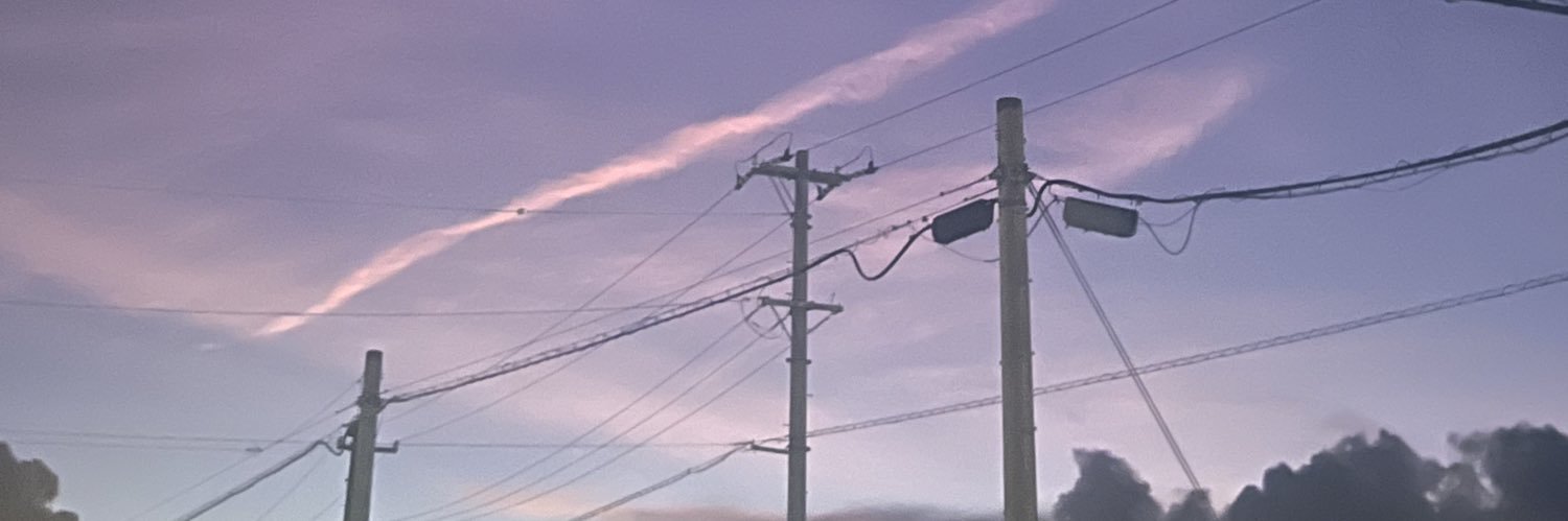 ねぎしお🌟 banner