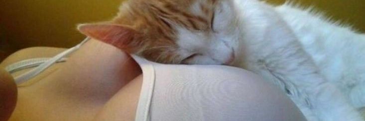 sluttilies's profile banner image