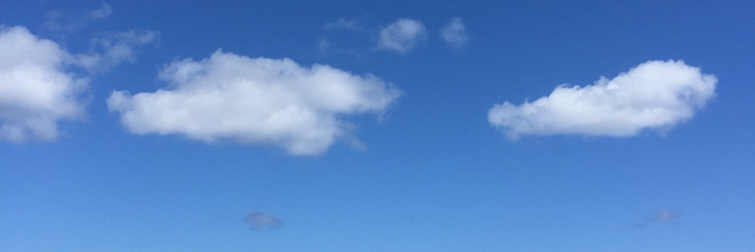 Dominic Citino banner