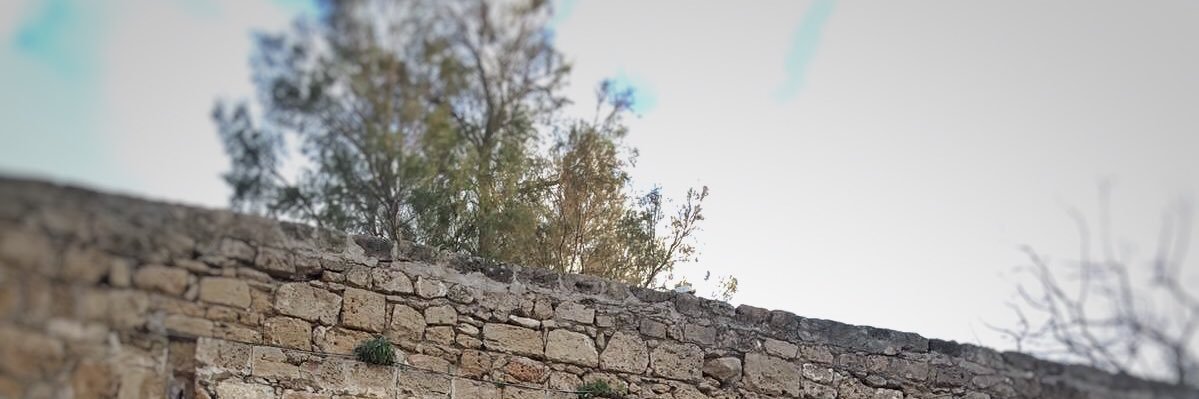 abeywillie's profile banner image