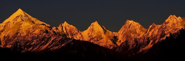 panchshulpulse Profile Banner