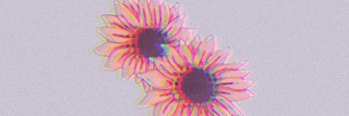 ViiviisGL's profile banner image