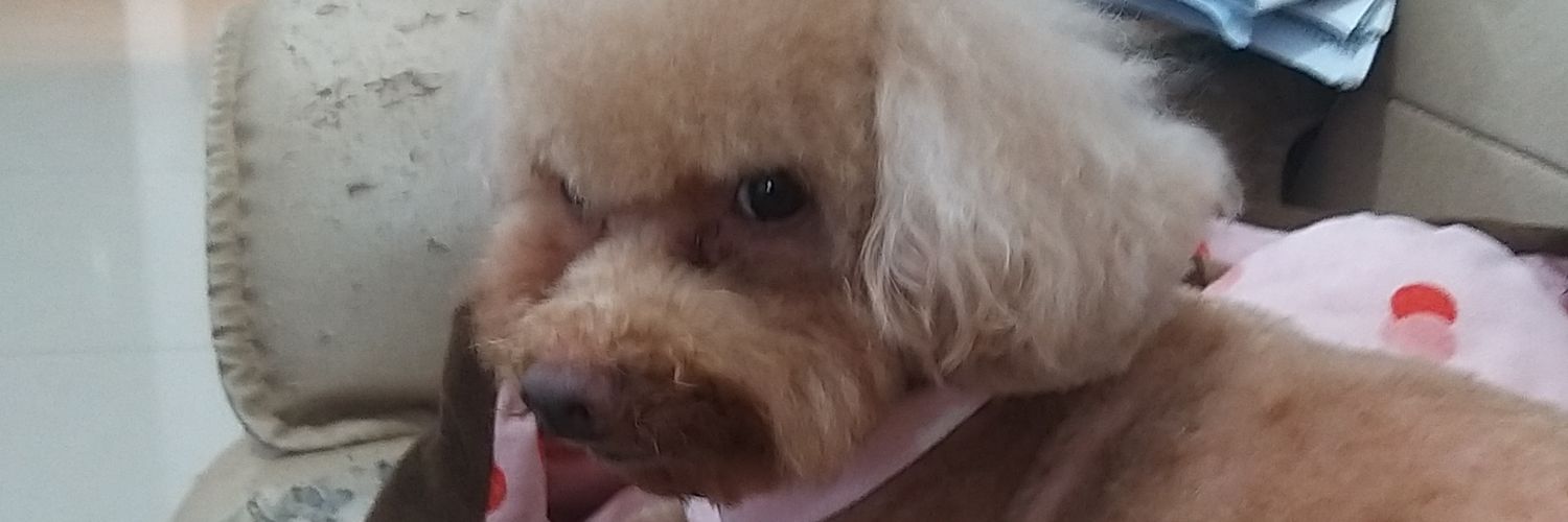BryanmingCom's profile banner image