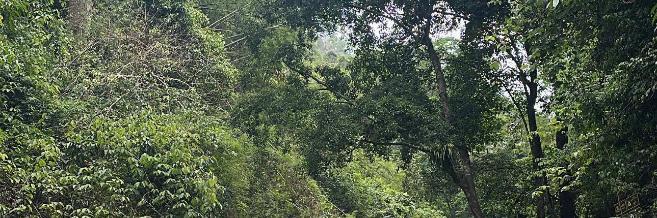 G a l a c t u s banner