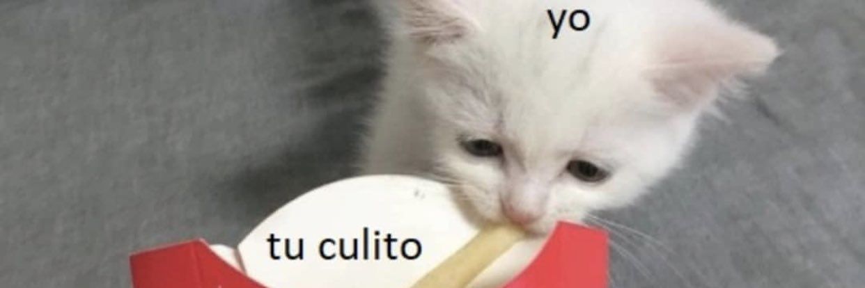 2Fat2bFurious's profile banner image