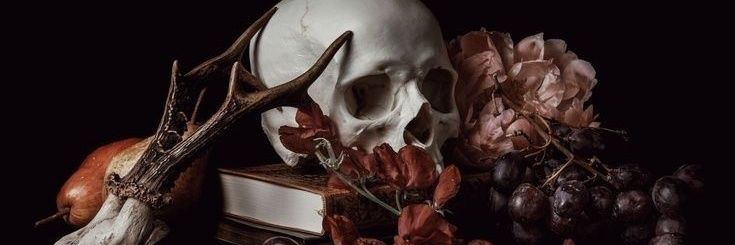 𝐂𝐀𝐑𝐈𝐒𝐒𝐀 .⋆♱ banner