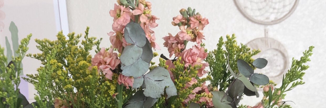 CaraCarin's profile banner image