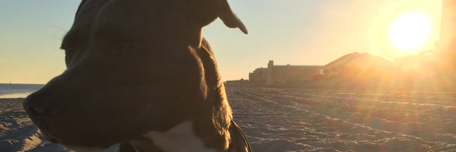 carleybaileyy's profile banner image