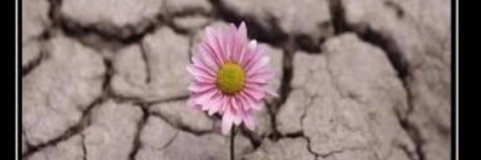 VictoriaGa1929's profile banner image