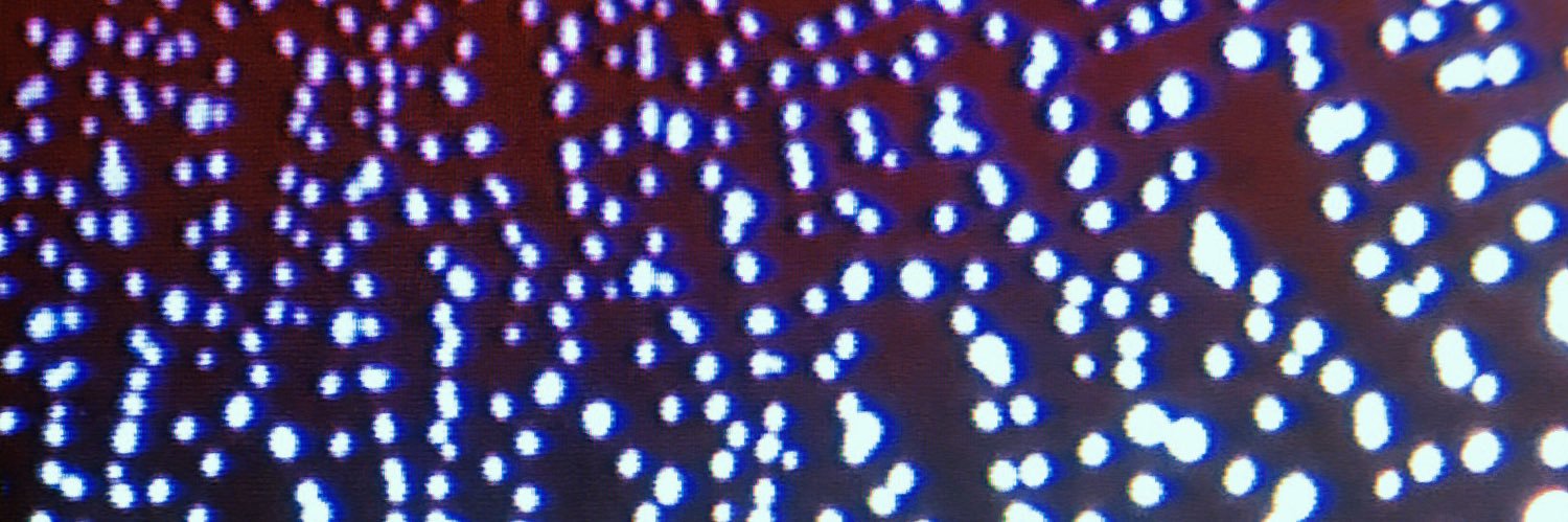 B34ns_'s profile banner image