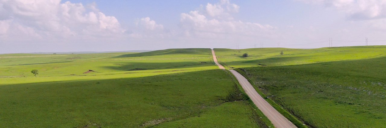 Lisa CK banner