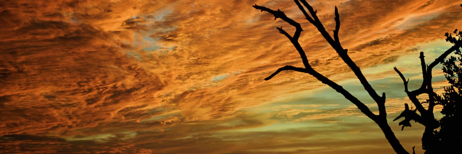 Manatee Chamber of Commerce banner