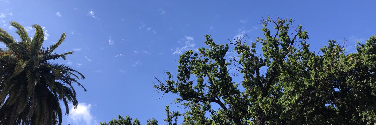 cedroncam's profile banner image