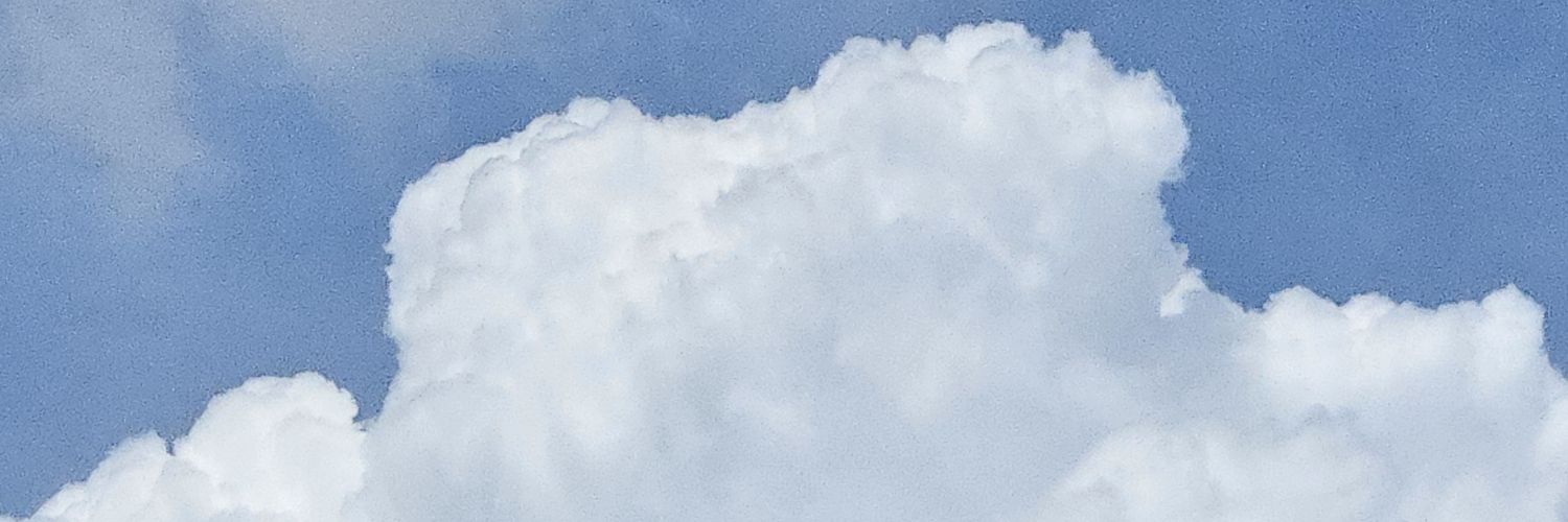 0__0__V's profile banner image