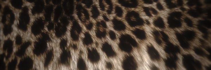 K1llZart's profile banner image