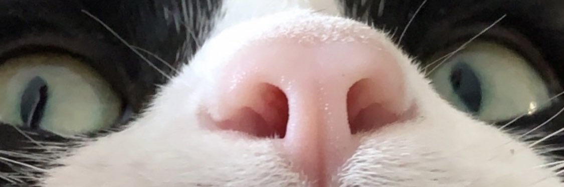 maddyblue19's profile banner image