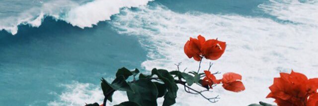 doontcaaare's profile banner image