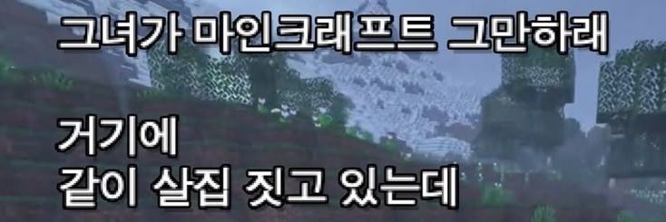 모도's banner