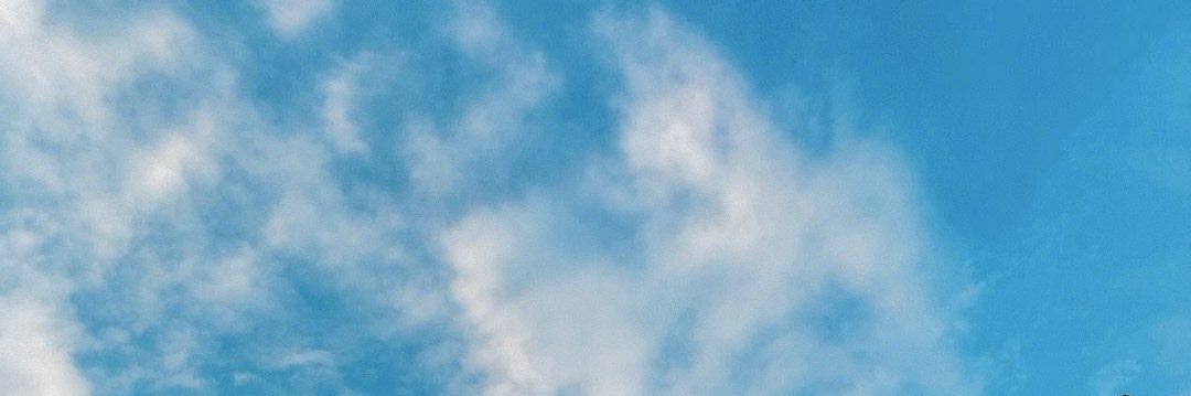 c_dixrai's profile banner image