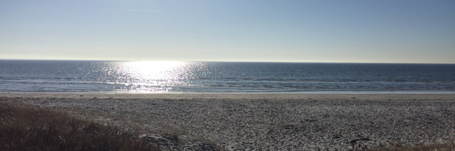 Geeta Schmidt banner