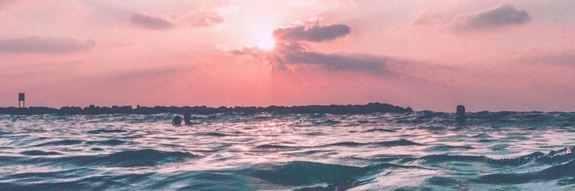 sarahkelson_'s profile banner image