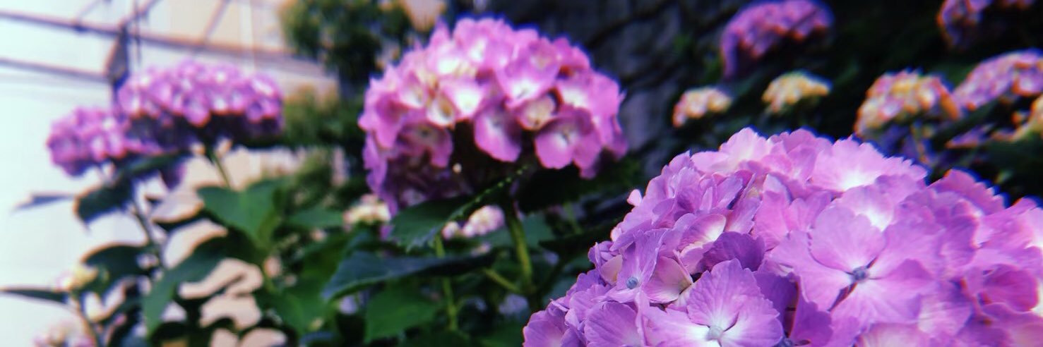 59_16_'s profile banner image