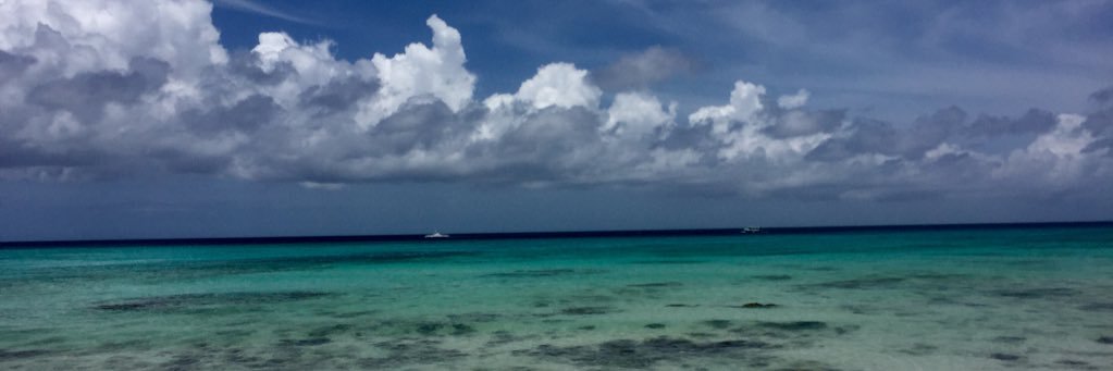 jen_green4's profile banner image