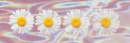 00_kjo's profile banner image