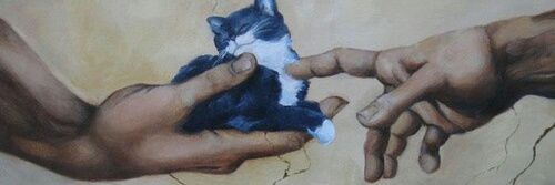_SamaraEstela's profile banner image