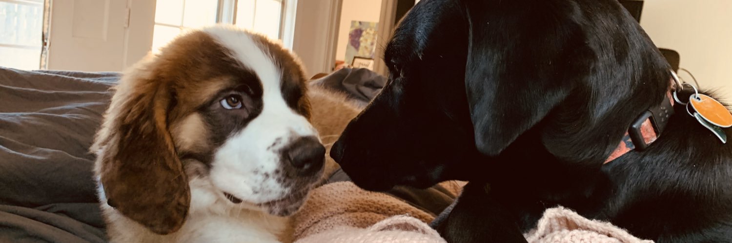 britttttters's profile banner image