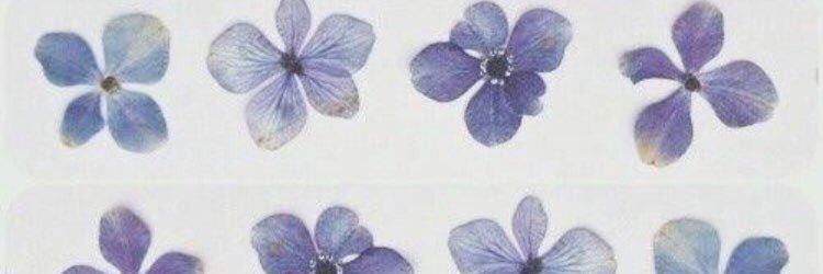 deliagrape_'s profile banner image