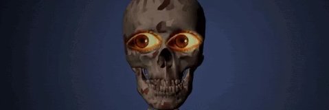 waddaflower's profile banner image