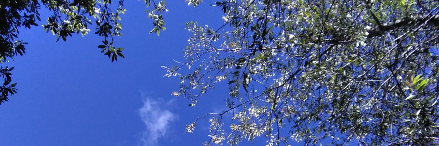 LUZMEBG's profile banner image