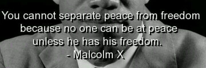 NoPeaceWithoutFreedom banner