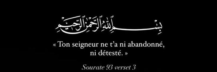 Lunique Ghost banner