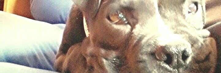 ireruz96's profile banner image