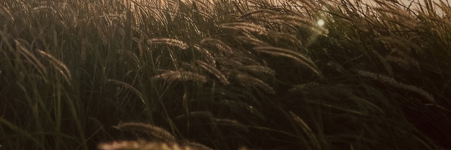 عَاصِم banner
