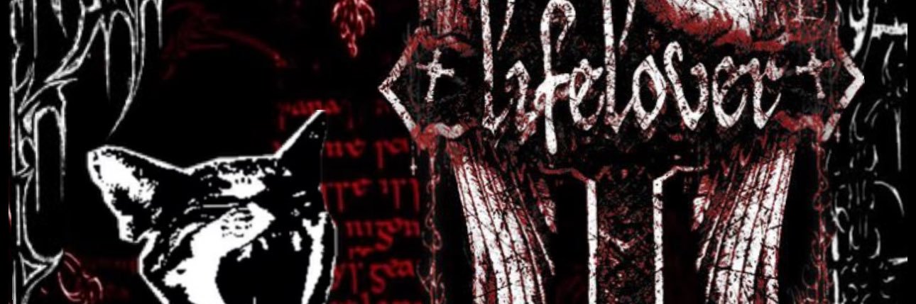 ﹐༘⋆ 𝐧𝐨𝐨𝐧 banner