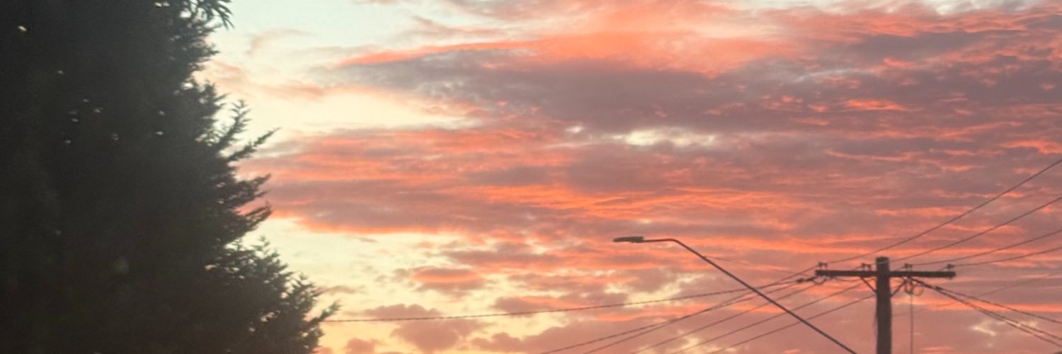 CatPumpkinn's profile banner image