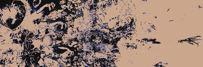 tyi. banner