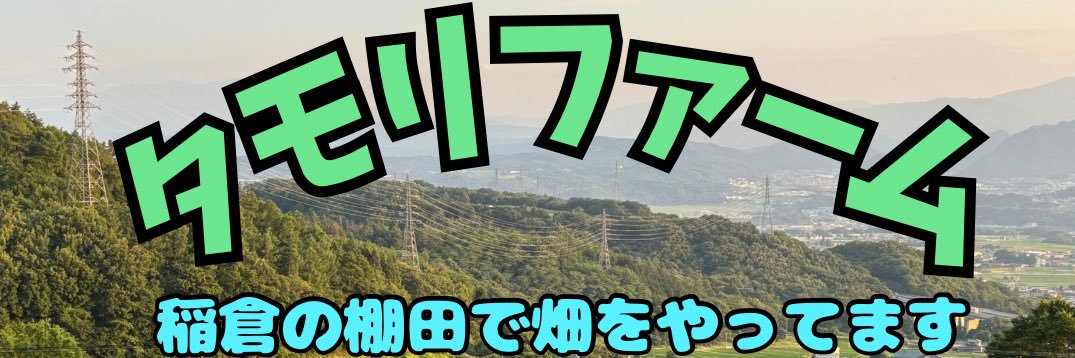 tamorifarm's profile banner image