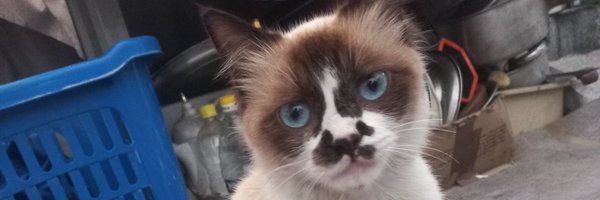 ahmednajarpls Profile Banner