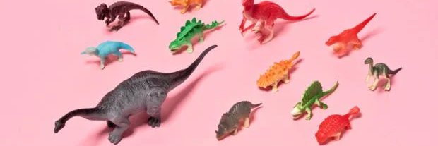 Alexandra Pelissero banner