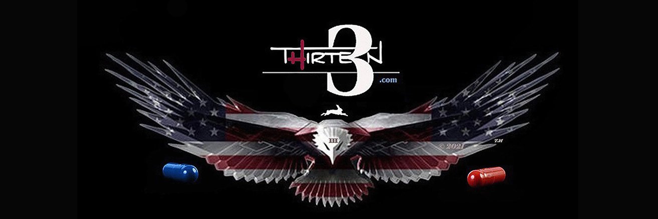 Thirte3n banner