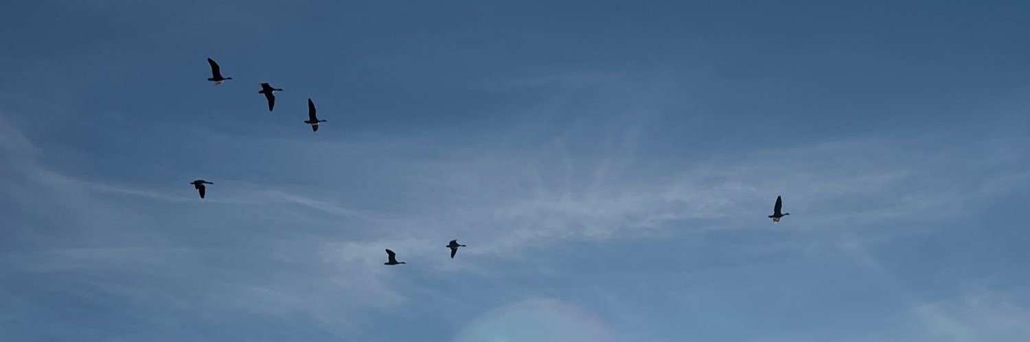 disisausername1's profile banner image